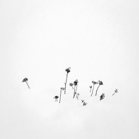Photography, The family, Skrova – Norway 2012, Gonçalo Martins