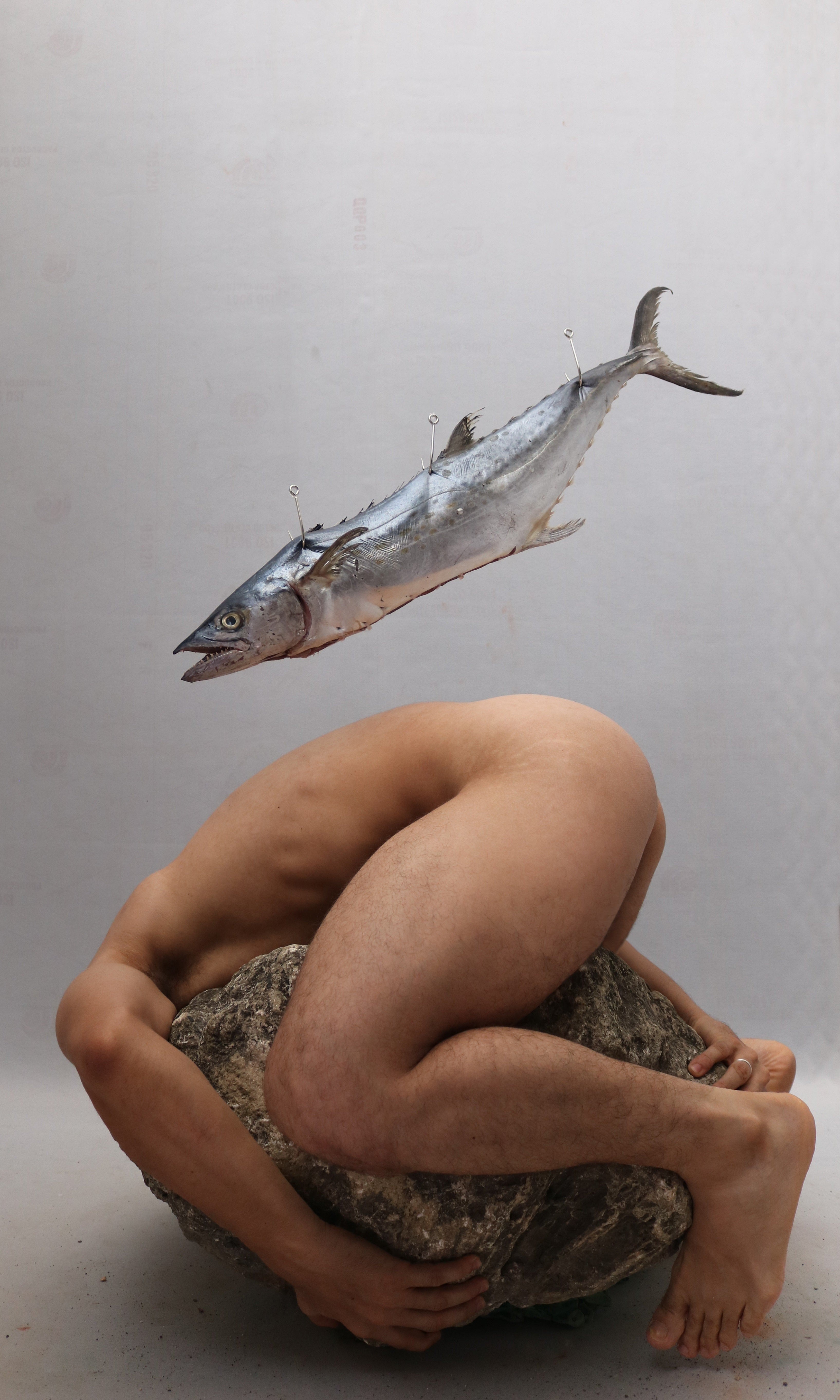 José Sierra, #18. From La Piedra Sustituta II Series José Sierra, #18. From La Piedra Sustituta II Series