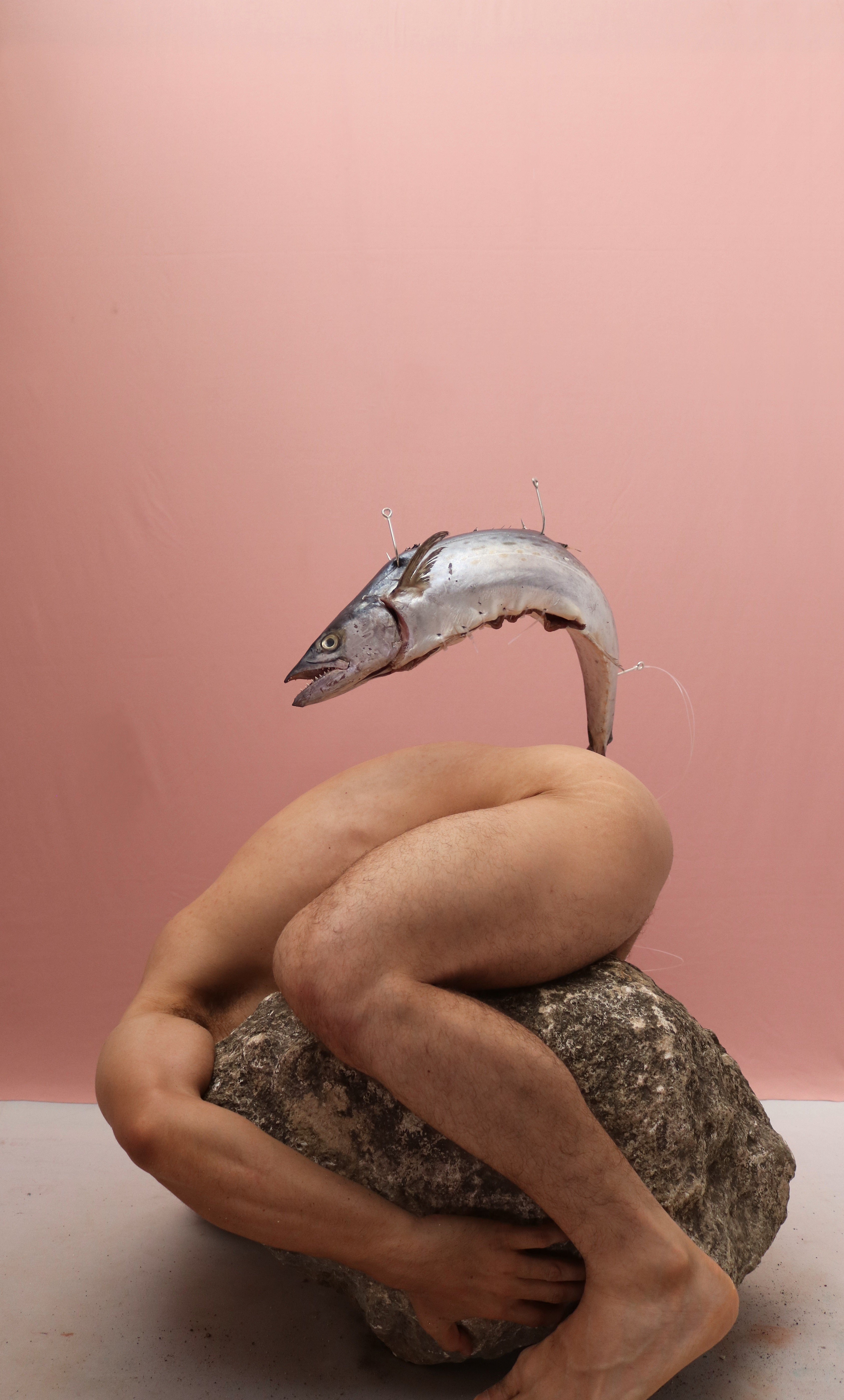 José Sierra, #17. From La Piedra Sustituta II Series José Sierra, #17. From La Piedra Sustituta II Series