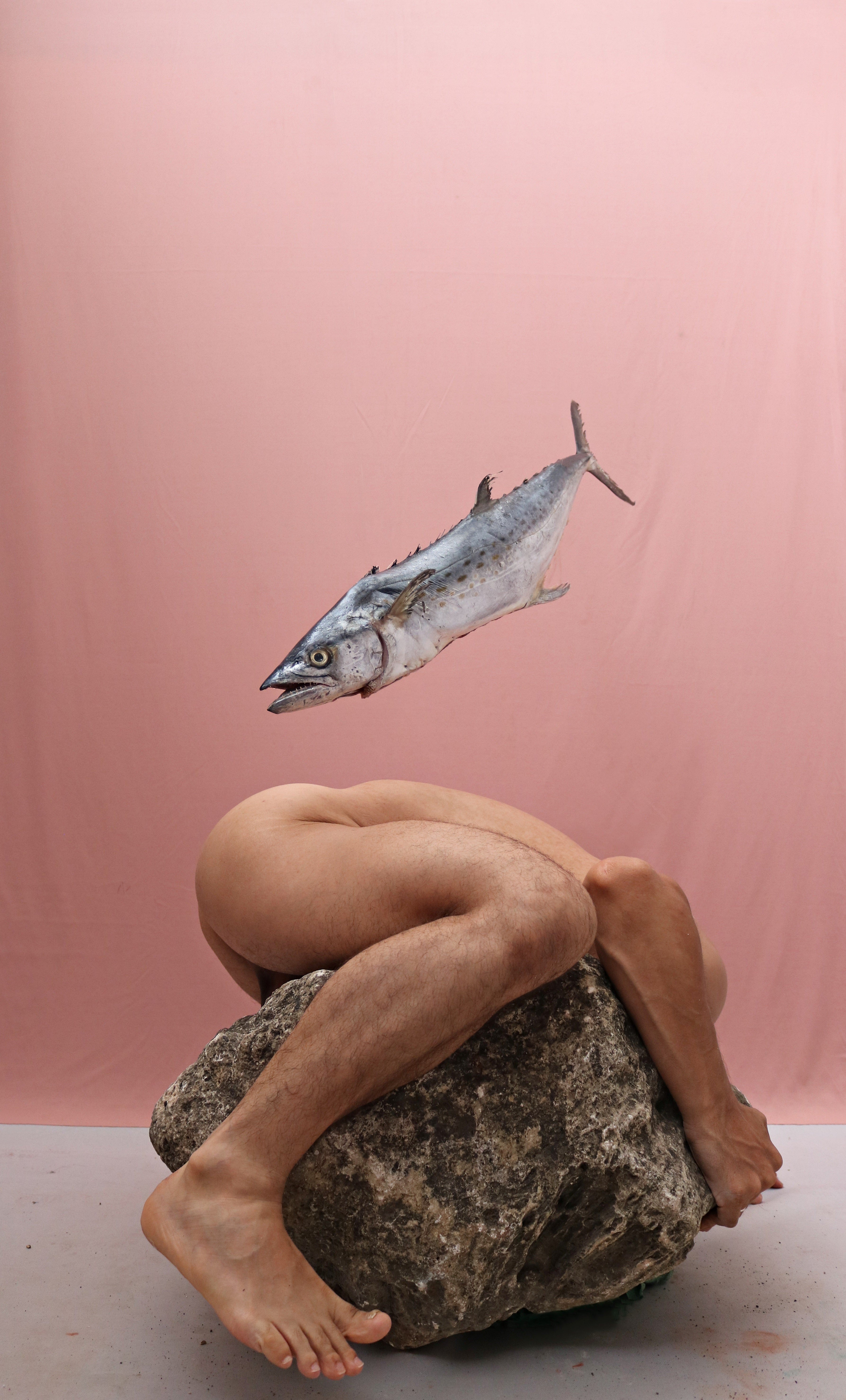 José Sierra, #16. From La Piedra Sustituta II Series José Sierra, #16. From La Piedra Sustituta II Series