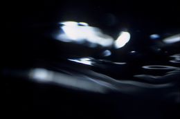Les eaux noires : les remous, Véronique Durruty