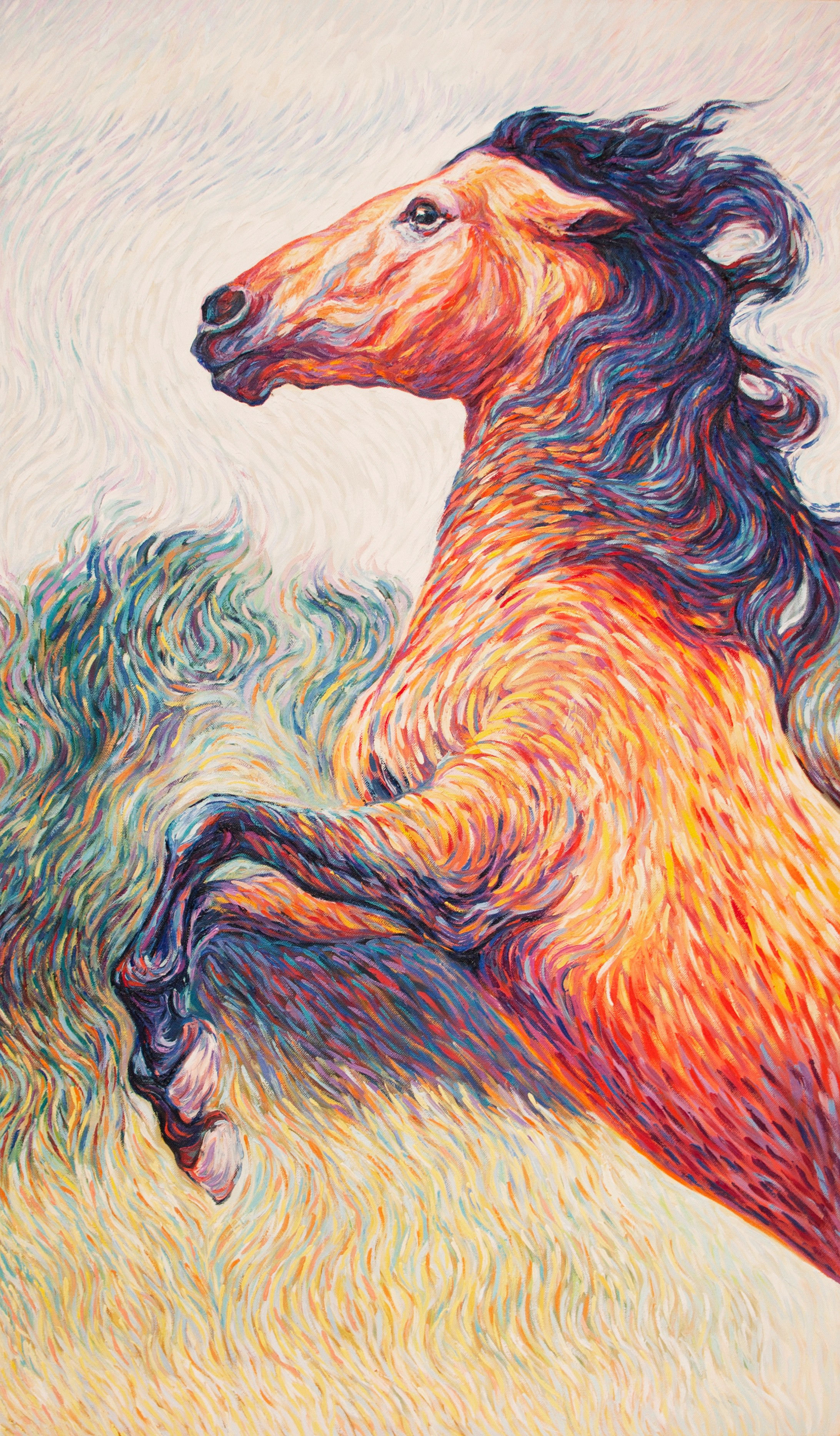 Diana Torje, Burst of Energy Diana Torje, Burst of Energy