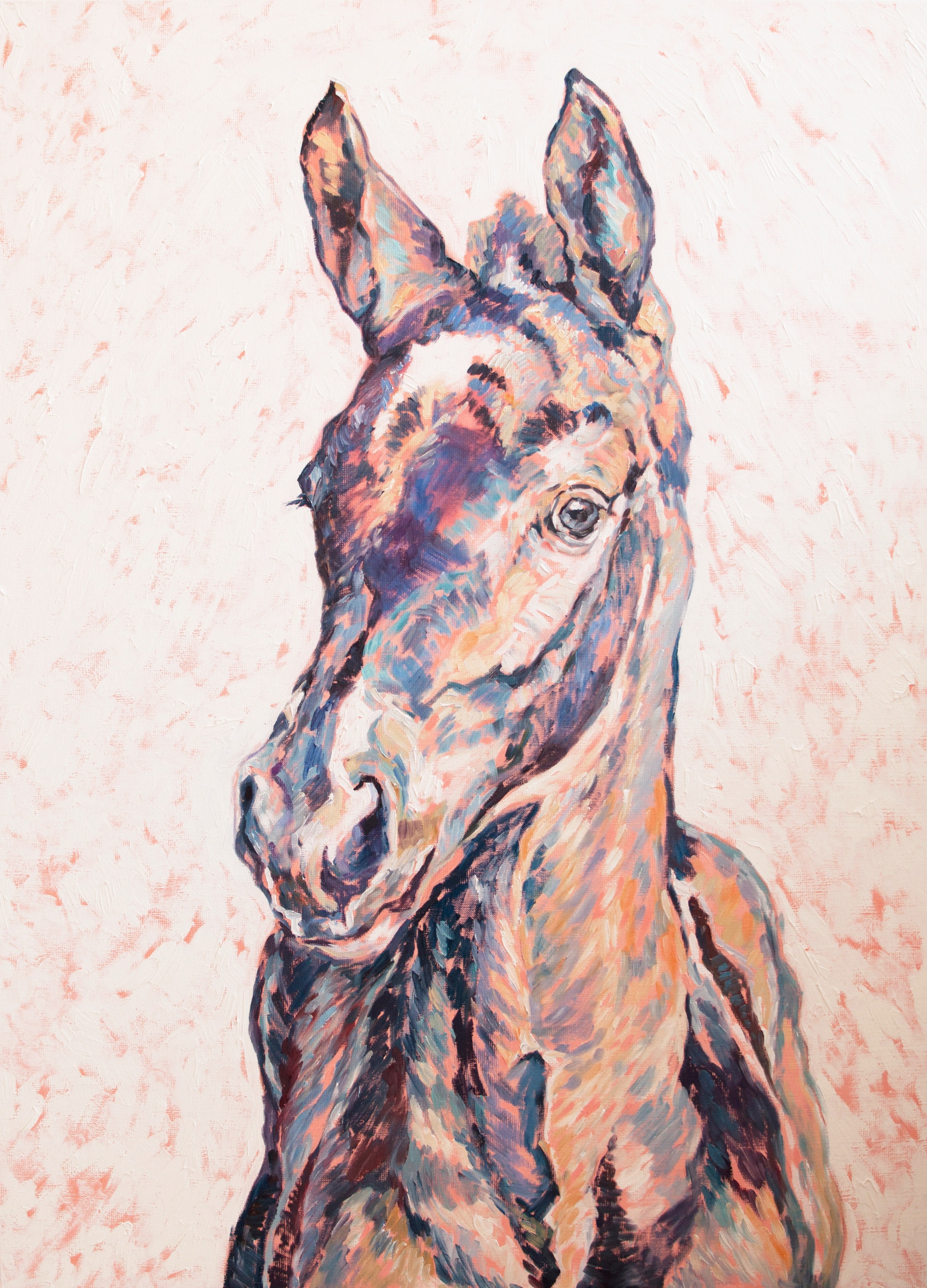 Diana Torje, Colors of His Soul Diana Torje, Colors of His Soul