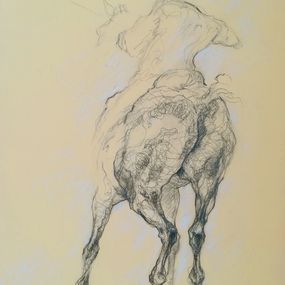 Fine Art Drawings, Corrida, Diana Torje