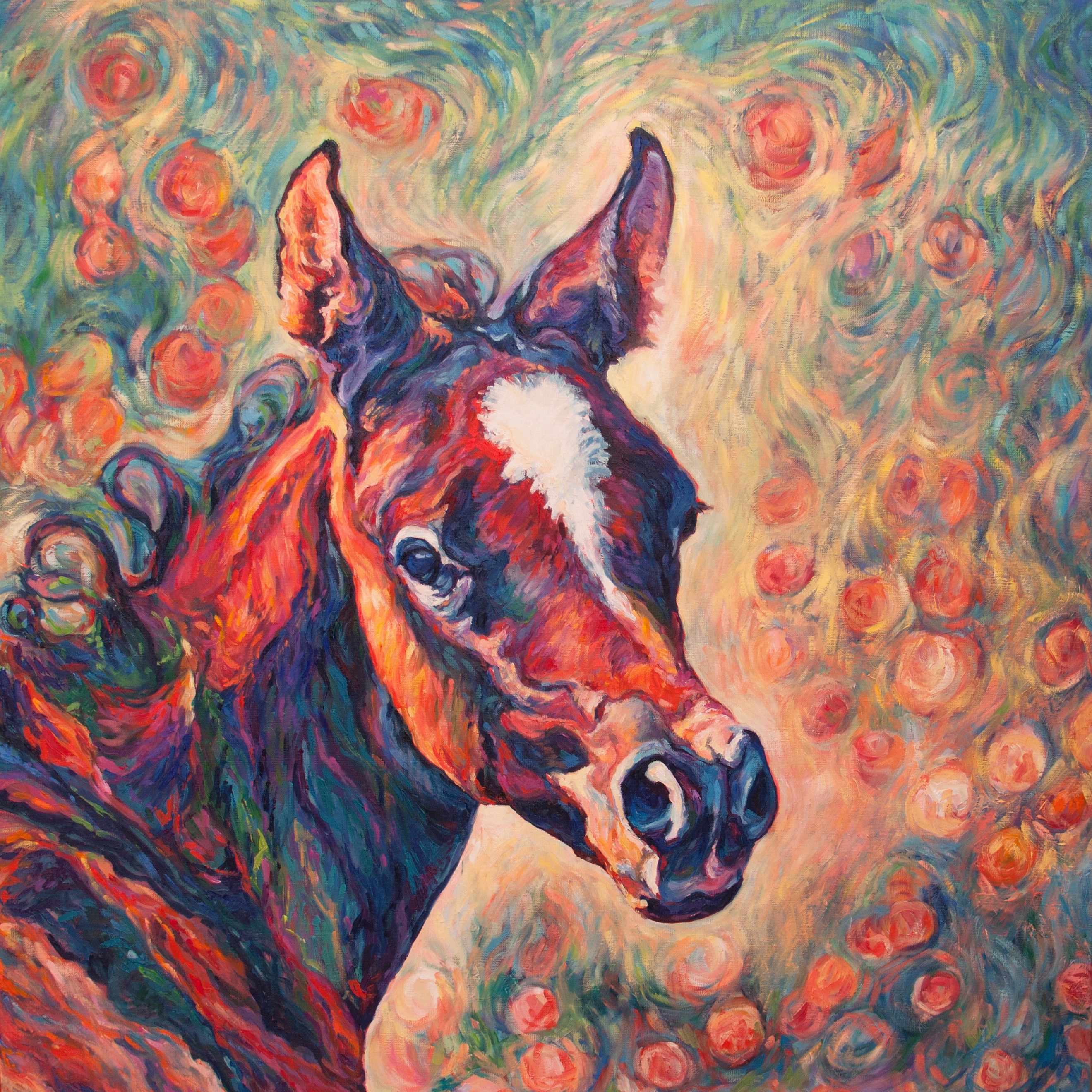 Diana Torje, The Foal Diana Torje, The Foal