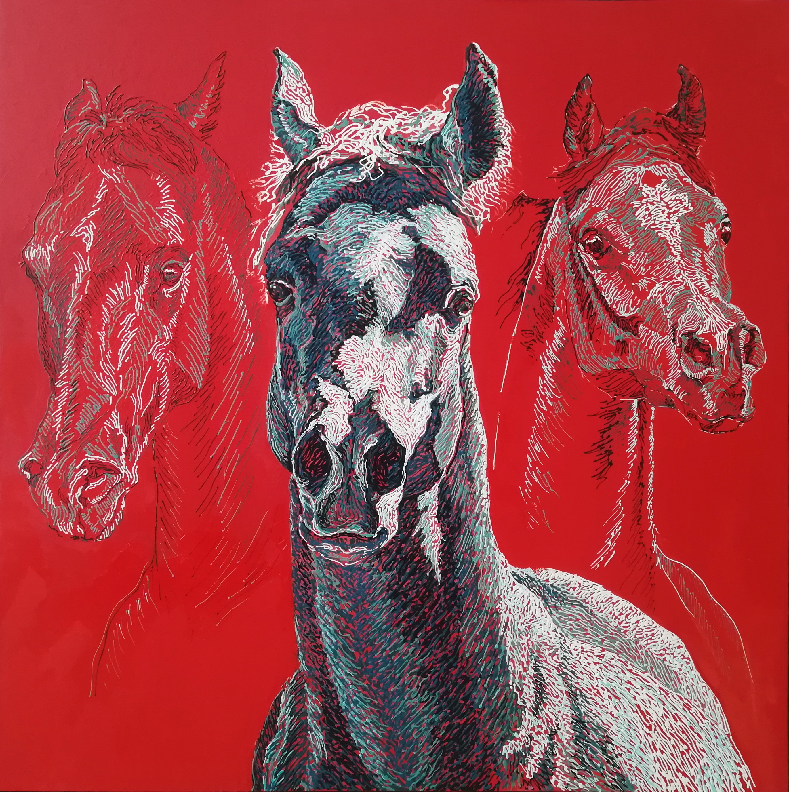 Diana Torje, Trinity Diana Torje, Trinity
