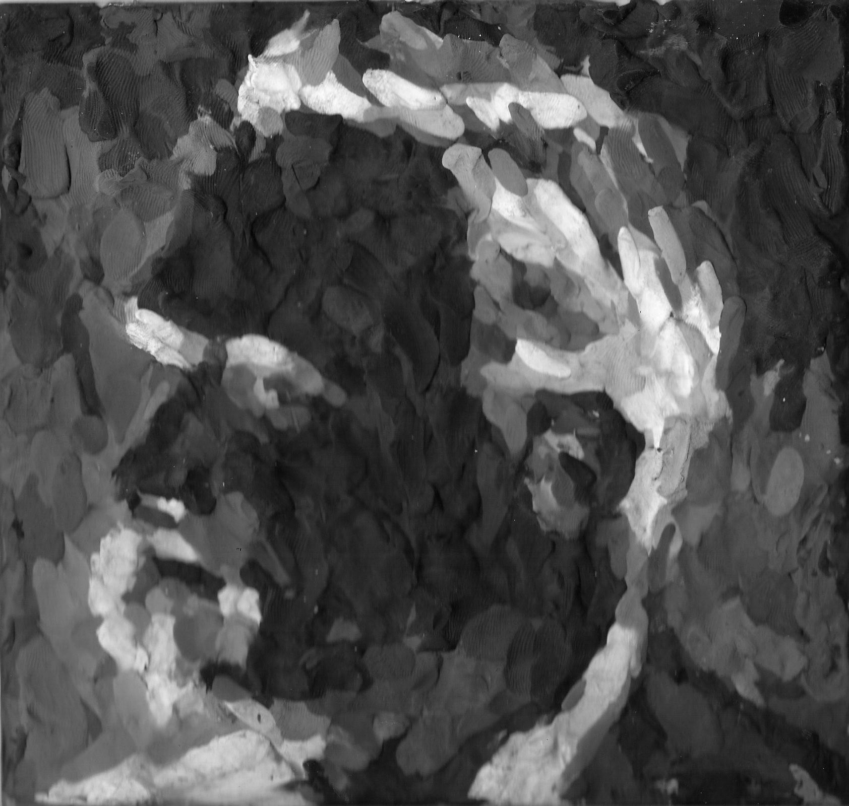 Henrik Jacob, Nietzsche Inverse Henrik Jacob, Nietzsche Inverse