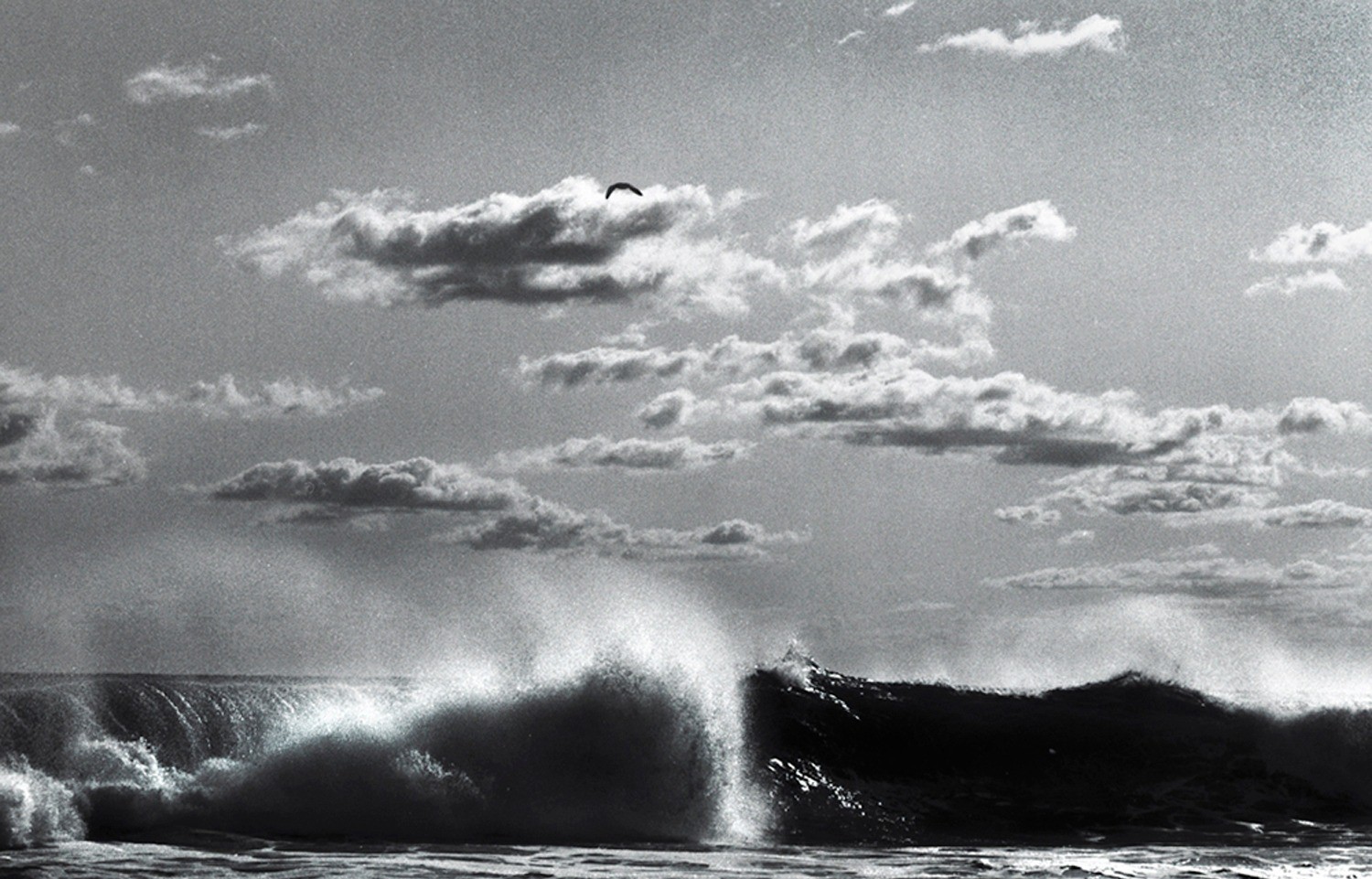 Richard Dunkley, Long Island Wave Richard Dunkley, Long Island Wave