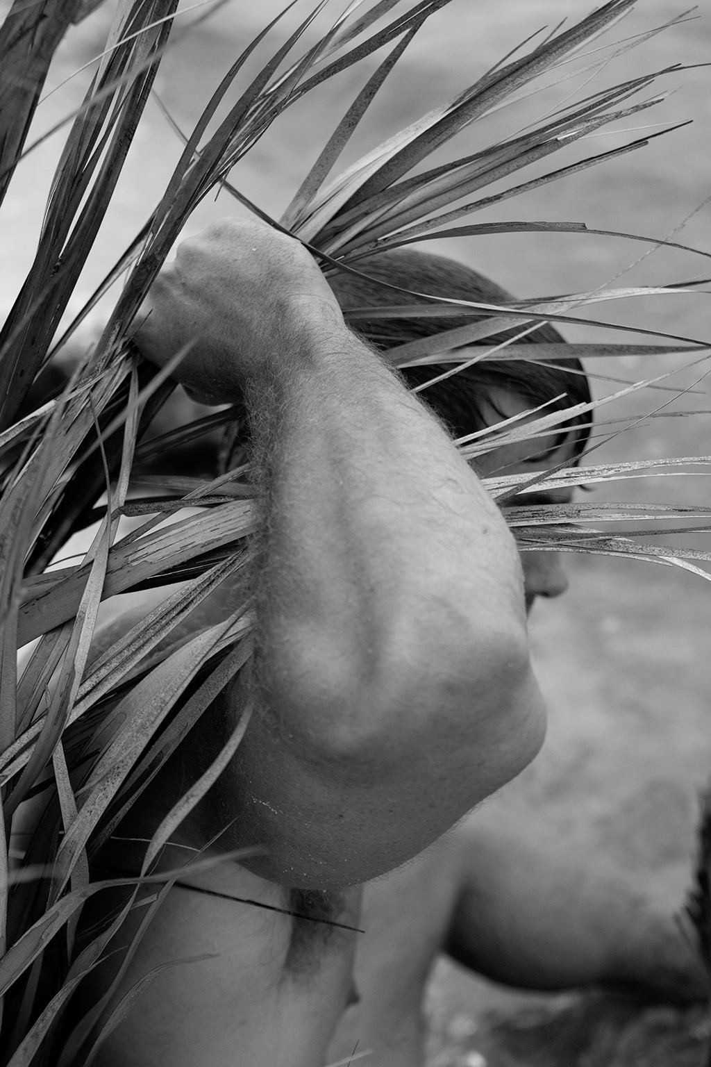 Ricky Cohete, Palm, Three Ricky Cohete, Palm, Three