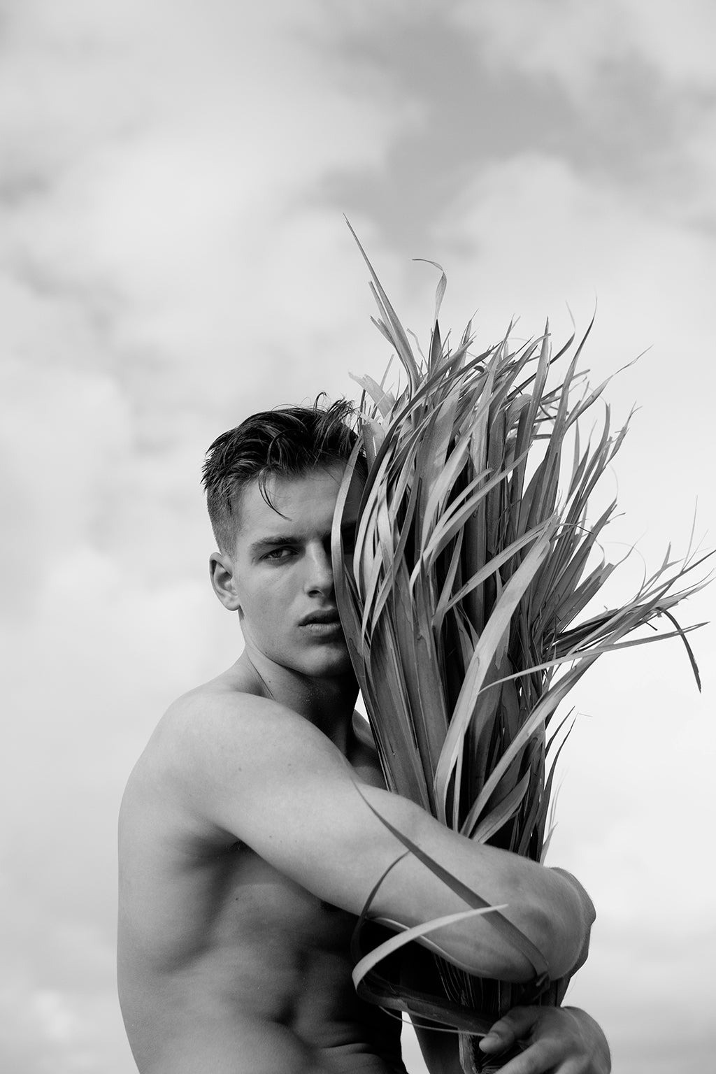 Ricky Cohete, Palm Embrace Ricky Cohete, Palm Embrace