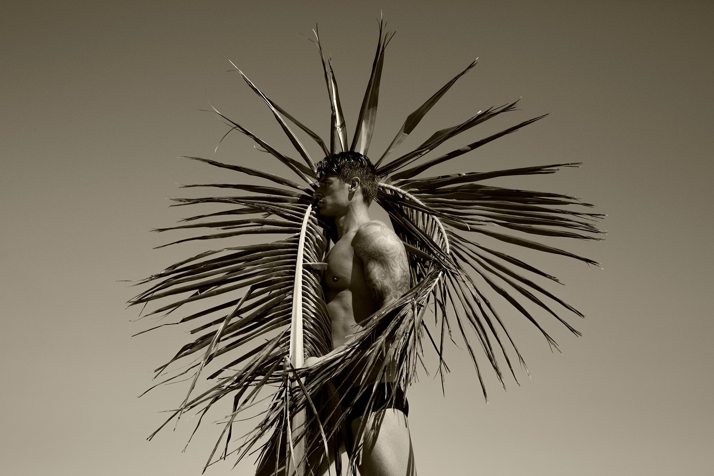 Ricky Cohete, Palm, One Ricky Cohete, Palm, One