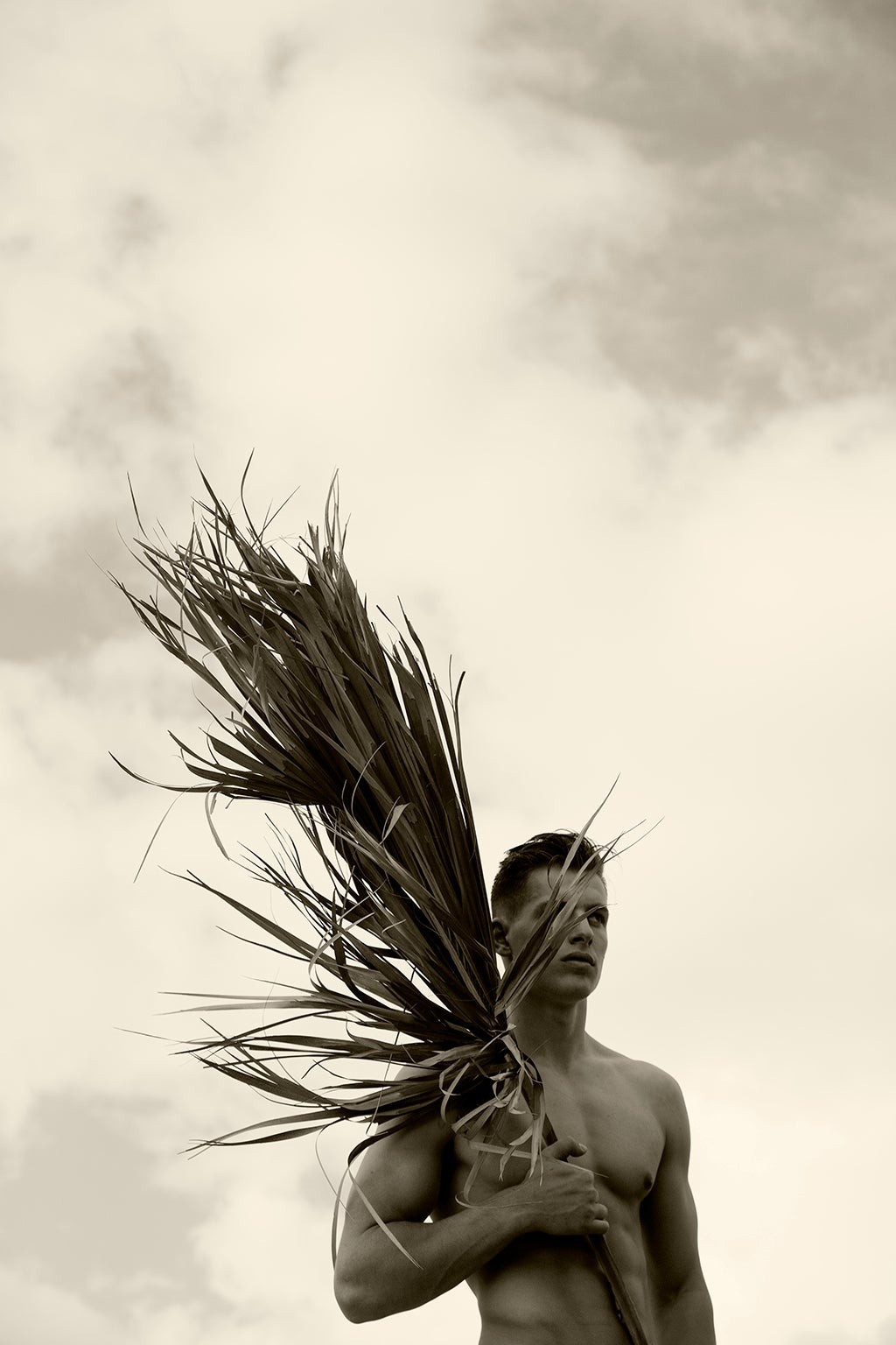 Ricky Cohete, Palm, Four. Sepia Ricky Cohete, Palm, Four. Sepia