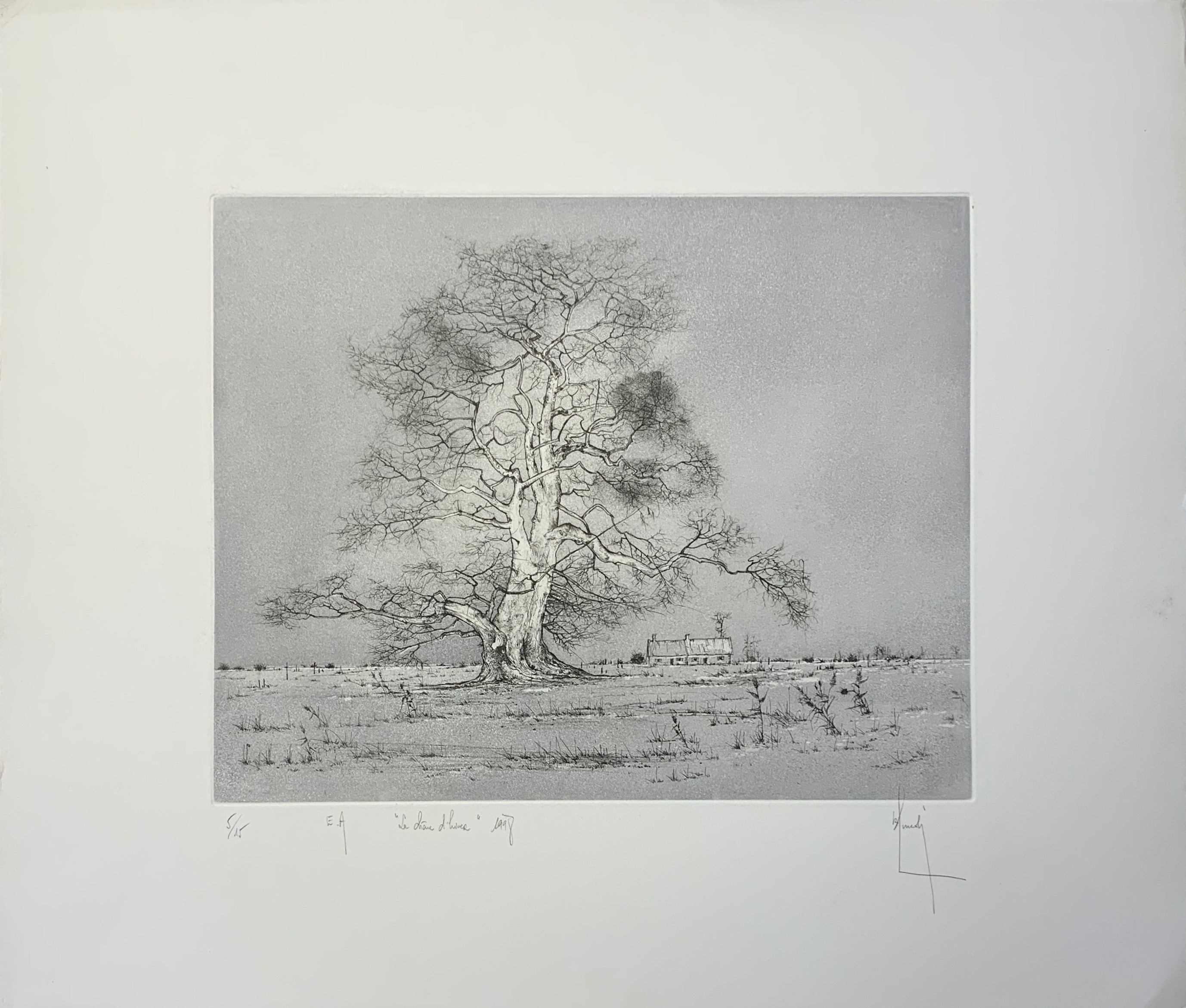 Bernard Louédin, Le chêne d'hiver Bernard Louédin, Le chêne d'hiver