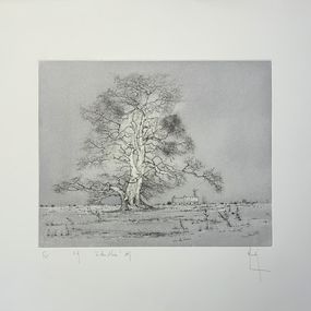 Le chêne d'hiver, Bernard Louédin