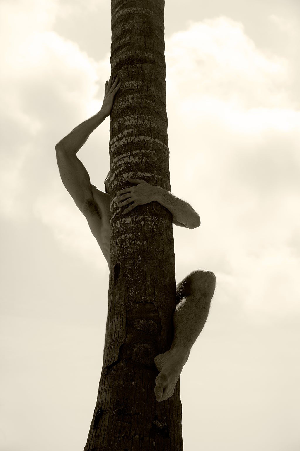 Ricky Cohete, Palm Climb, Two Ricky Cohete, Palm Climb, Two