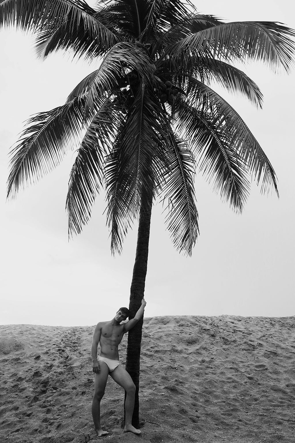 Ricky Cohete, Men & Palm Tree Ricky Cohete, Men & Palm Tree