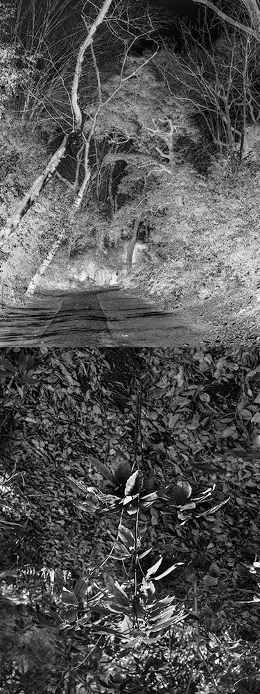 Yasuo Kiyonaga, Reflecting landscape 01 Yasuo Kiyonaga, Reflecting landscape 01
