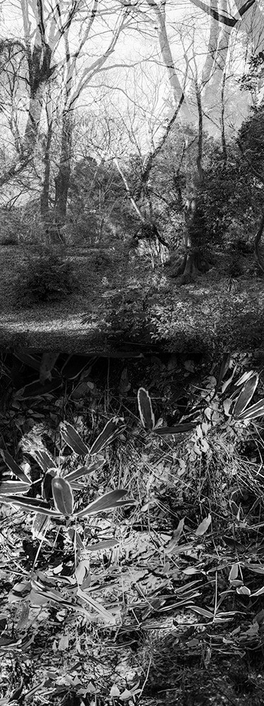 Yasuo Kiyonaga, Reflecting landscape 02 Yasuo Kiyonaga, Reflecting landscape 02