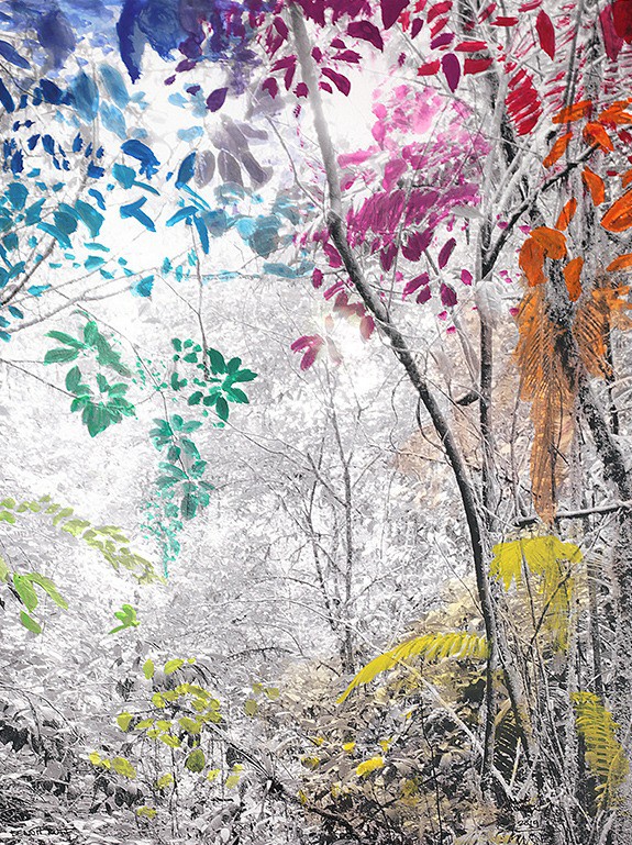 Benoit Ruff, La foret arc en ciel Benoit Ruff, La foret arc en ciel