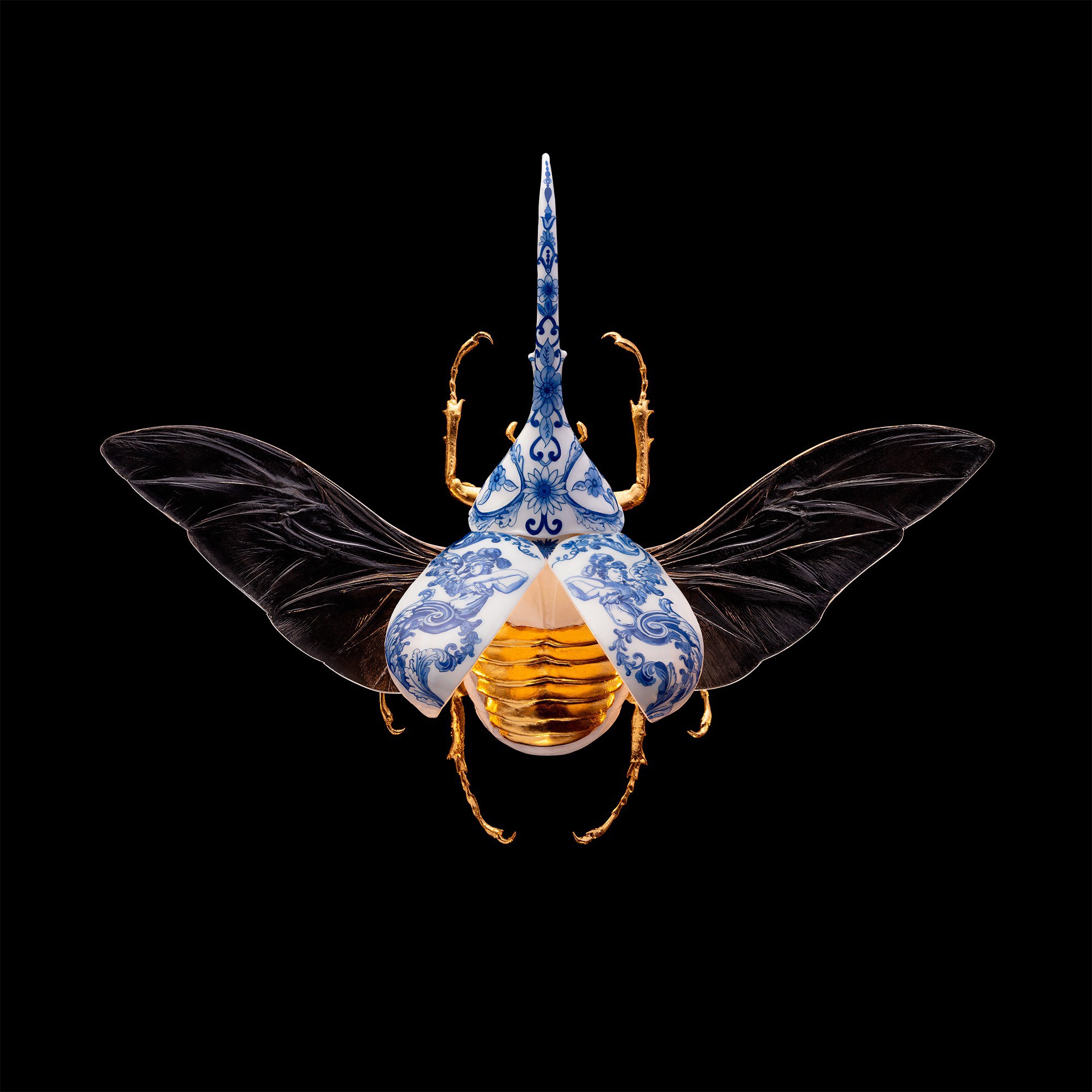 Samuel Dejong, Hercules Beetle Open Samuel Dejong, Hercules Beetle Open