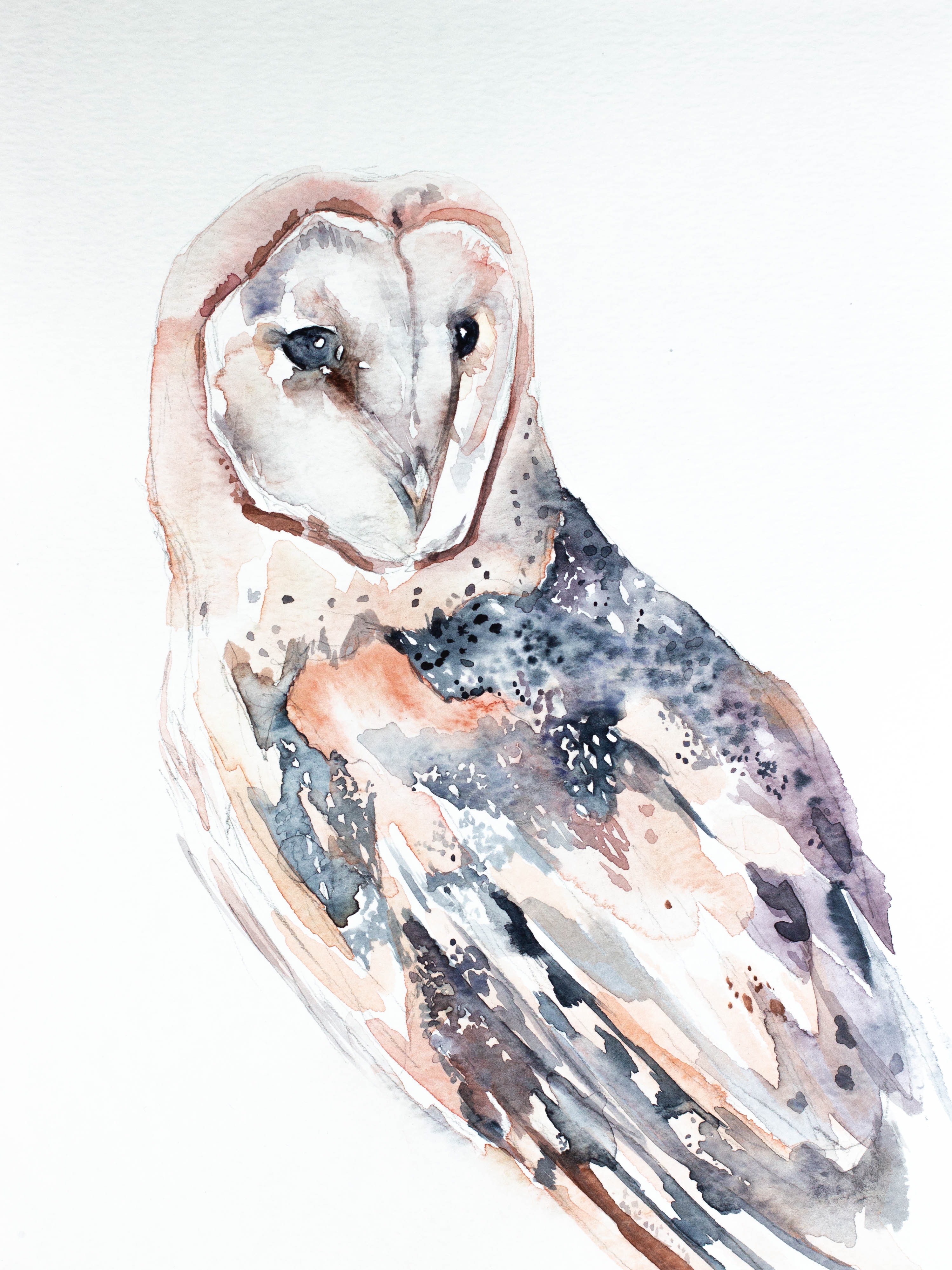 Elizabeth Becker, Barn Owl No. 2 Elizabeth Becker, Barn Owl No. 2