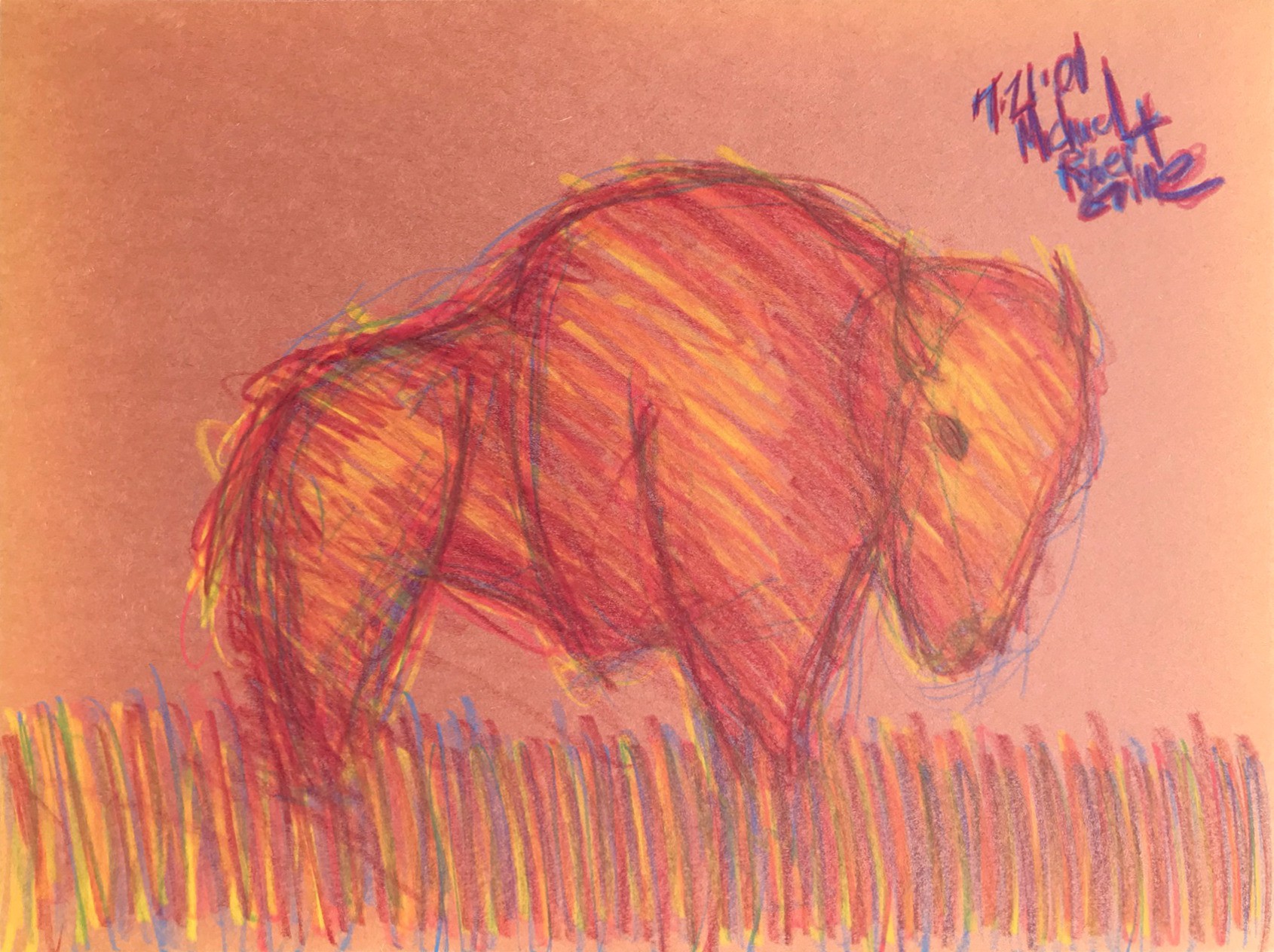 Michael Grine, Bison Michael Grine, Bison