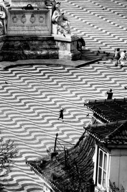 As Palomas/ Medium Size Print, Guilherme Licurgo