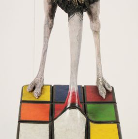 Escultura, Struzzo Rubik, Stefano Bombardieri