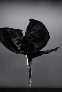 Fotografien, Seeds IV, From the Desert Flower series, Guilherme Licurgo