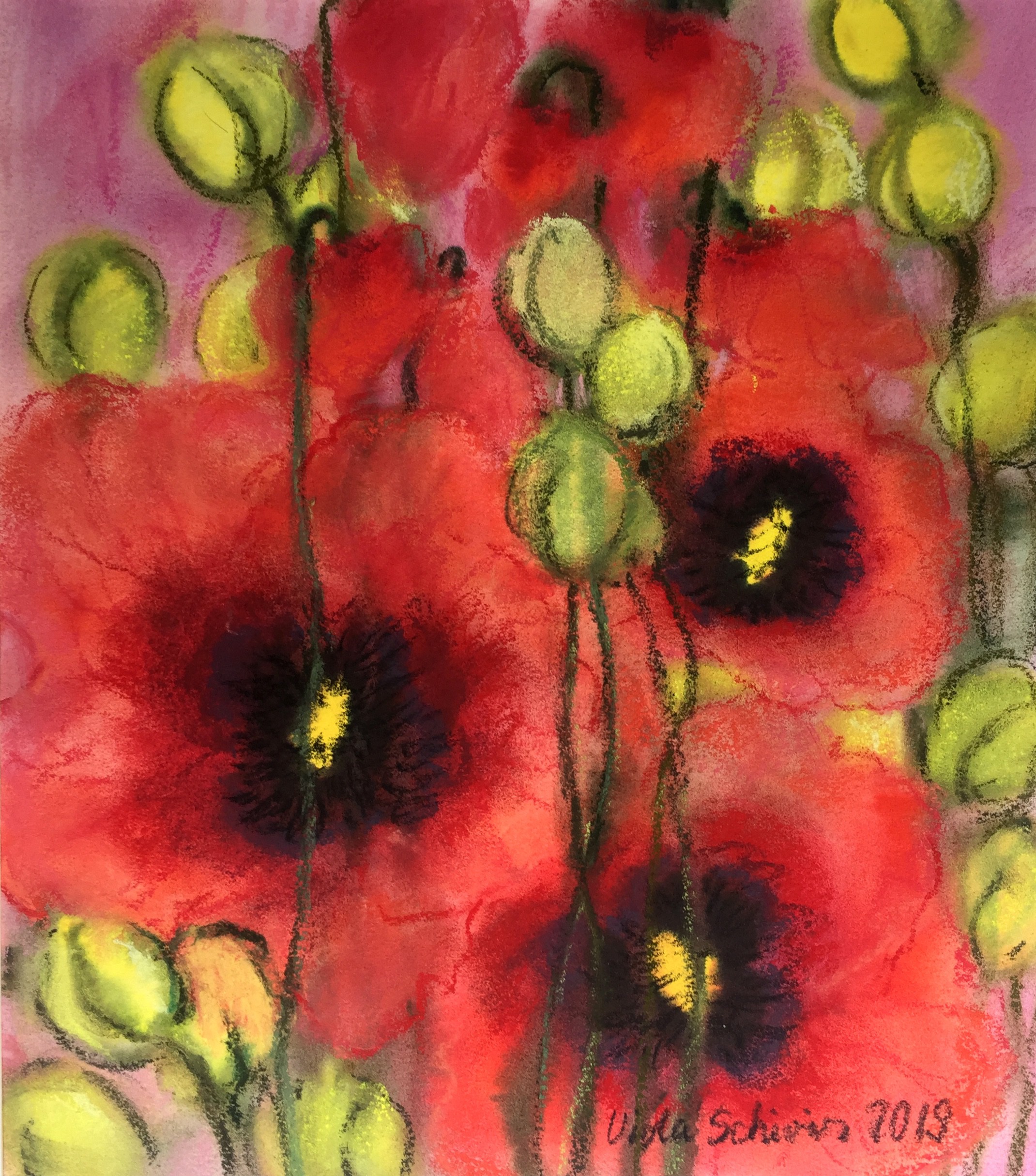 Viola Schiviz, Coquelicot I Viola Schiviz, Coquelicot I