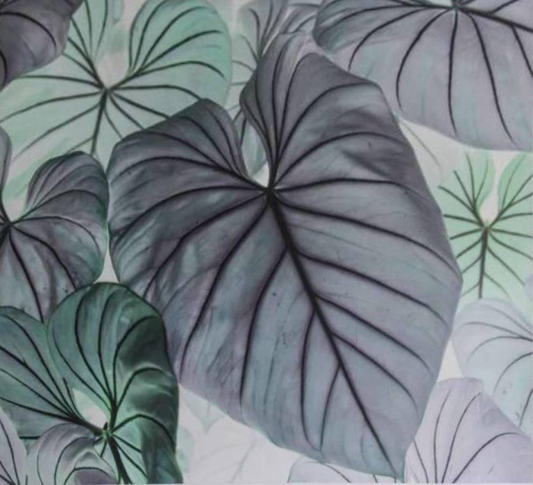 Luca Artioli, Philodendron Luca Artioli, Philodendron