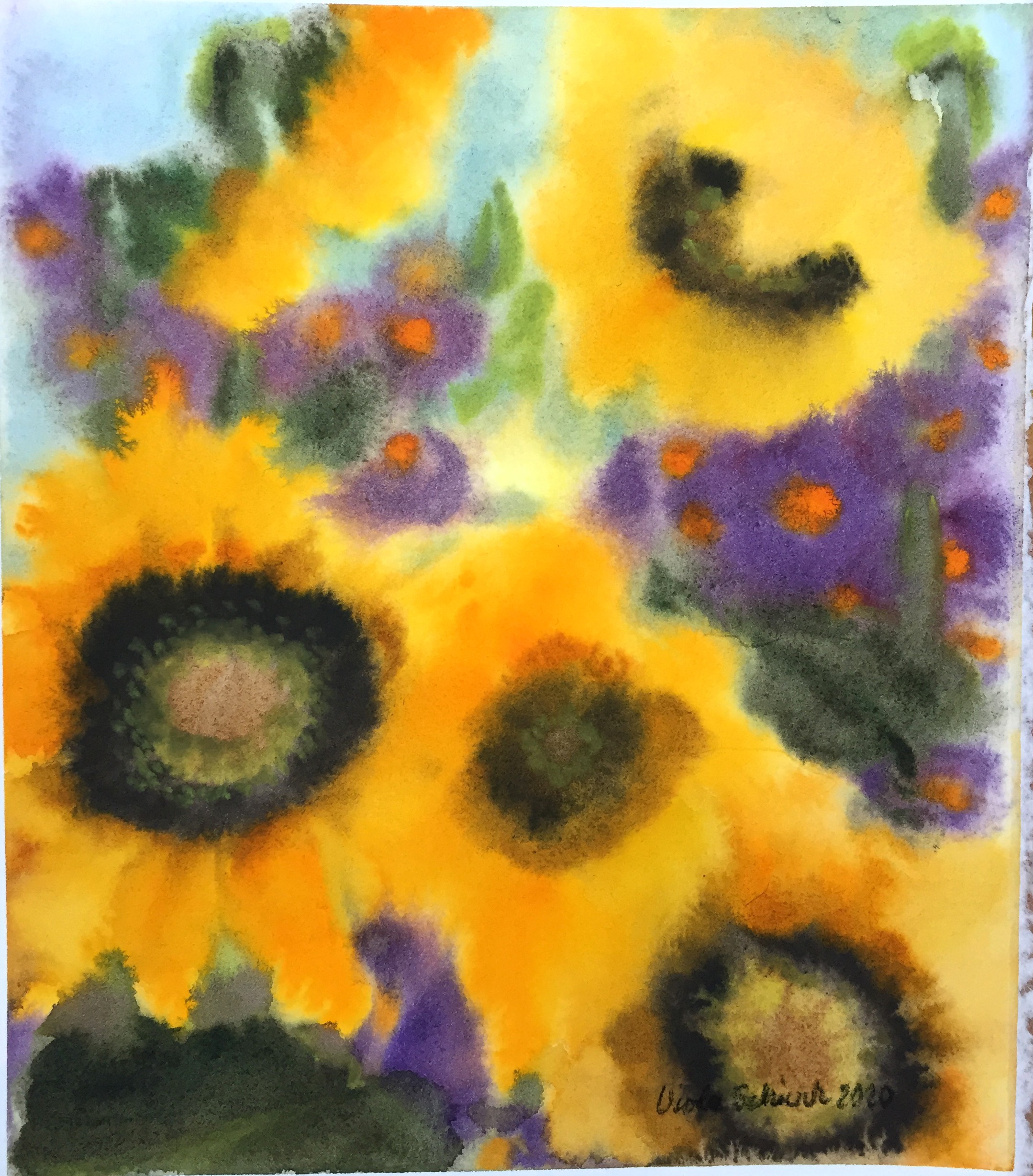 Viola Schiviz, Fleur 16 Viola Schiviz, Fleur 16