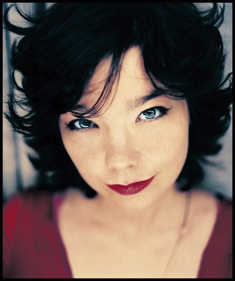 Kevin Westenberg, Bjork Kevin Westenberg, Bjork