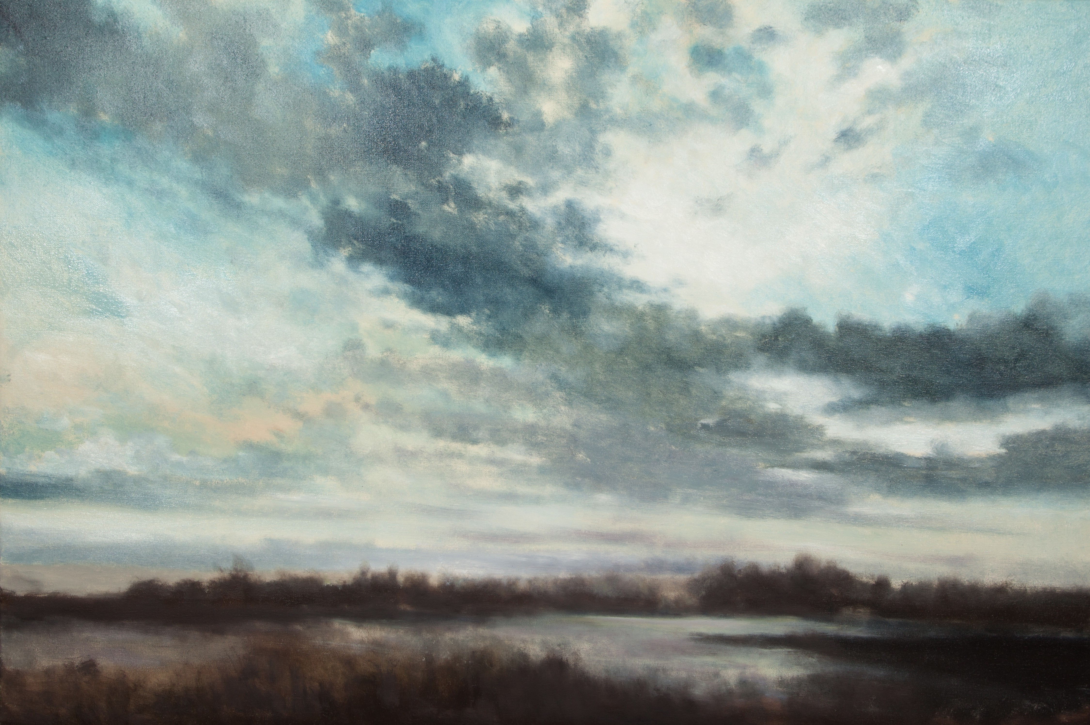 Franck Bailleul, Les Marais de Blanchelande Franck Bailleul, Les Marais de Blanchelande