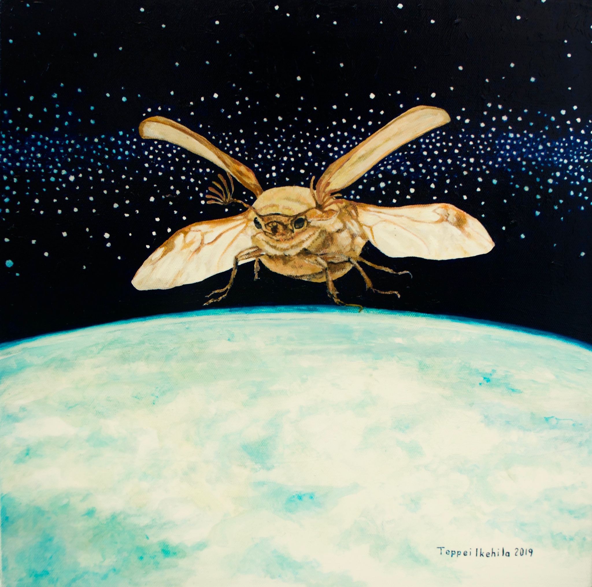 Teppei Ikehila, Last Flight Teppei Ikehila, Last Flight