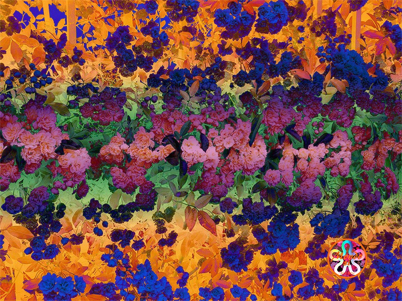 Alessandra Bisi, Acid orange and pink flowers Alessandra Bisi, Acid orange and pink flowers