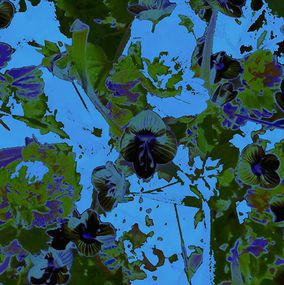 Print, Blue violets, Alessandra Bisi