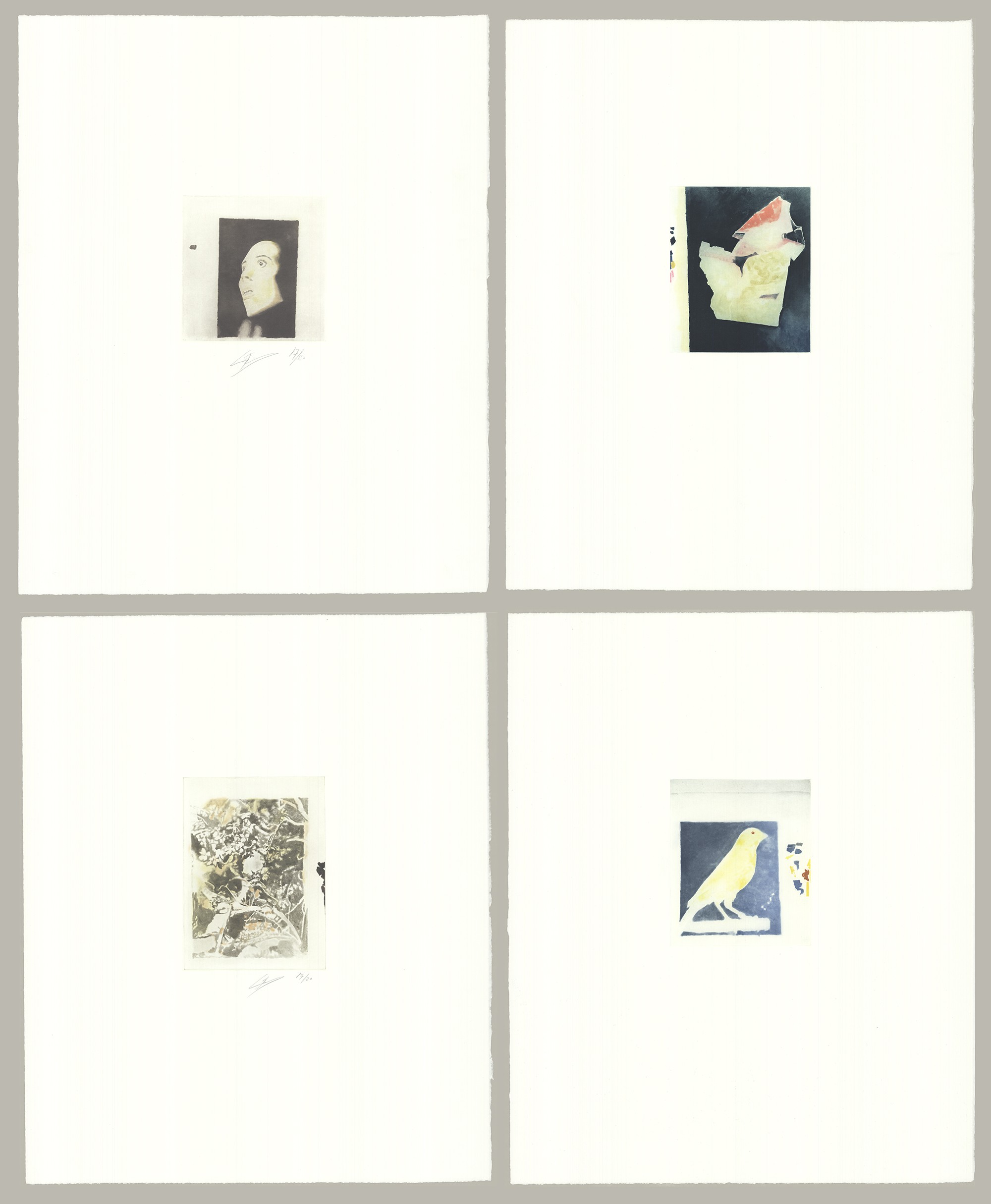 Luc Tuymans, Isabel, Diorama, Scramble, 2017 Luc Tuymans, Isabel, Diorama, Scramble, 2017