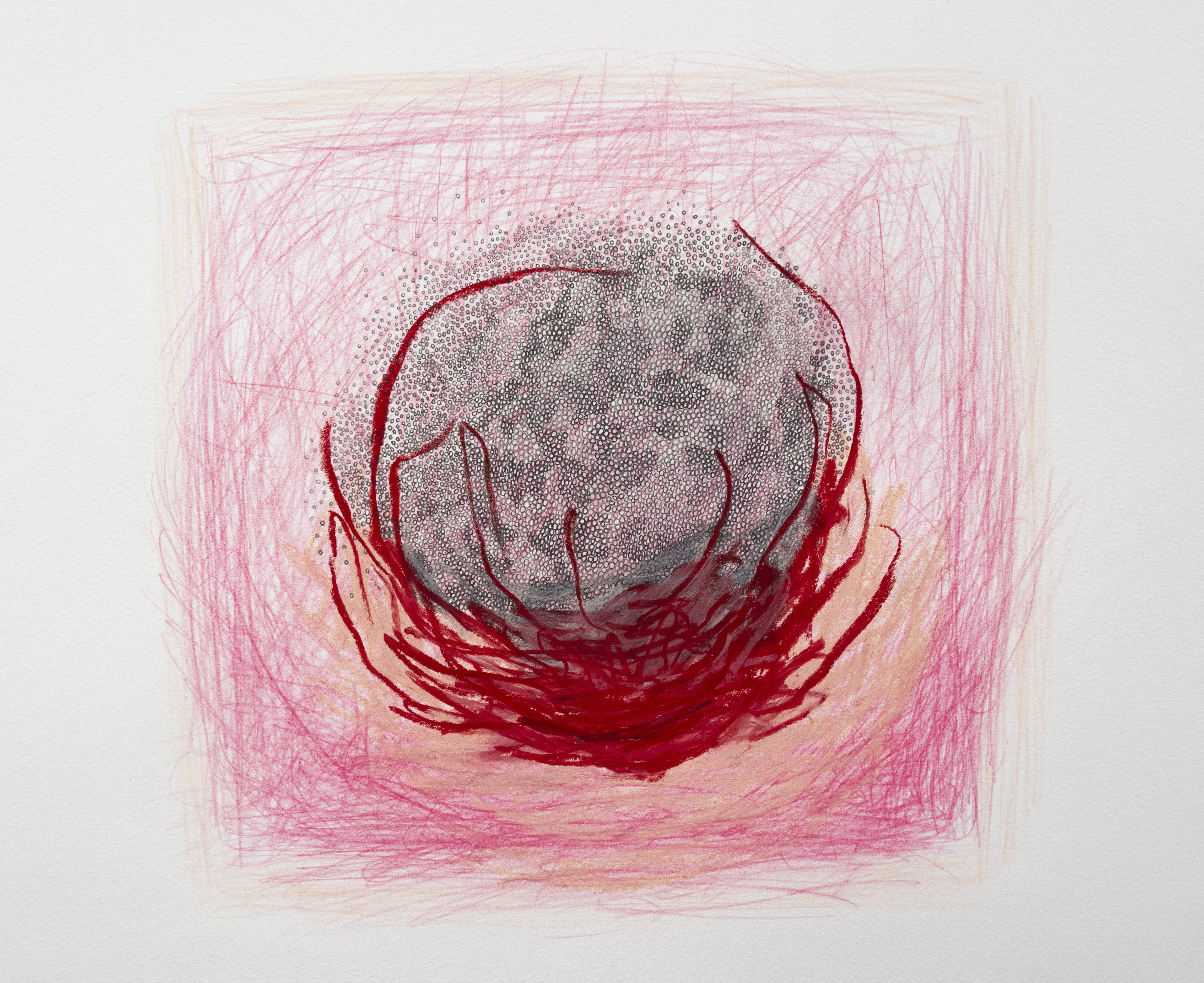 Despa Hondros, Untitled (Flower) Despa Hondros, Untitled (Flower)