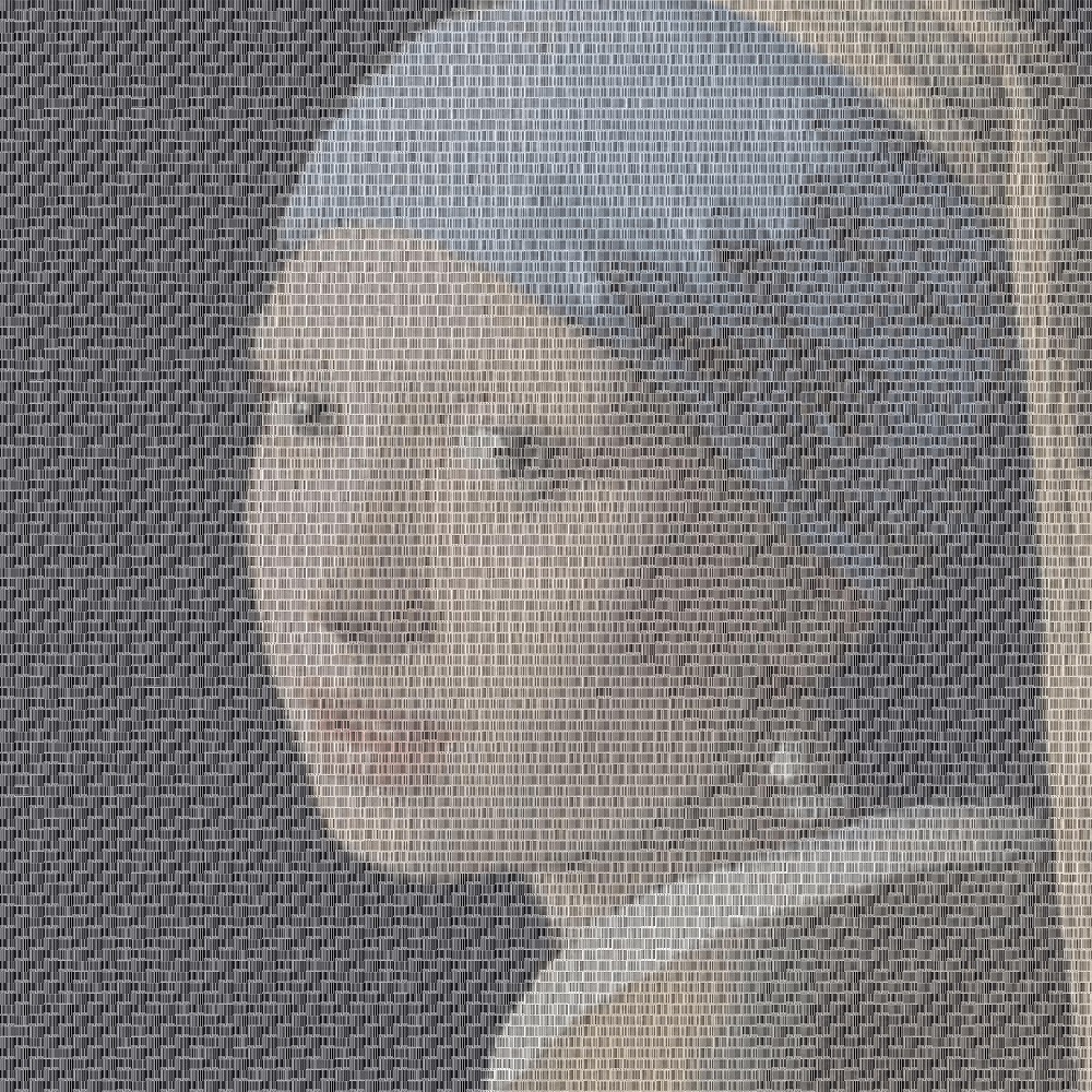 Løch-C, Barcode Girl (Vermeer touch) Løch-C, Barcode Girl (Vermeer touch)