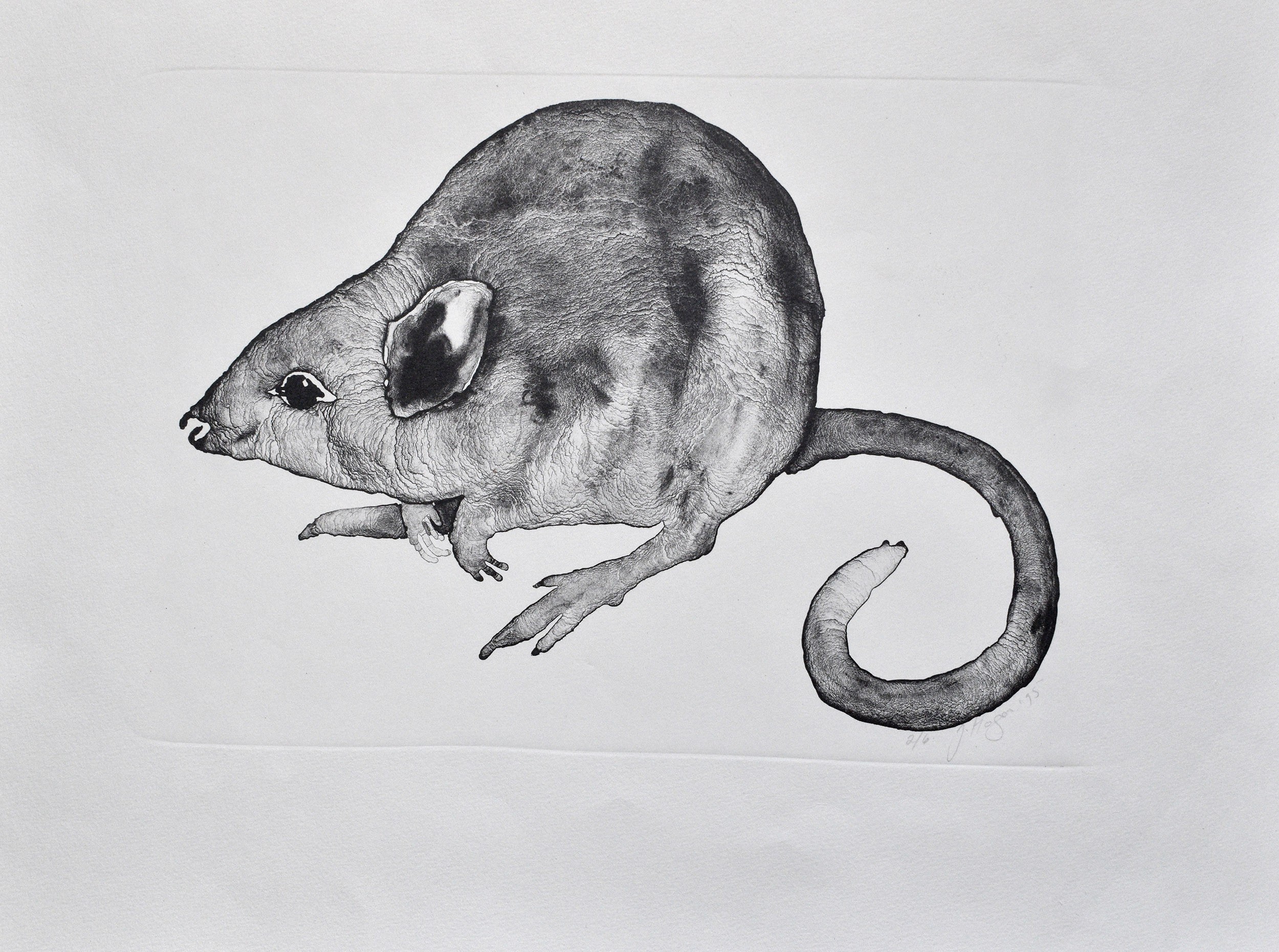 Jan Hagen, Mouse Jan Hagen, Mouse