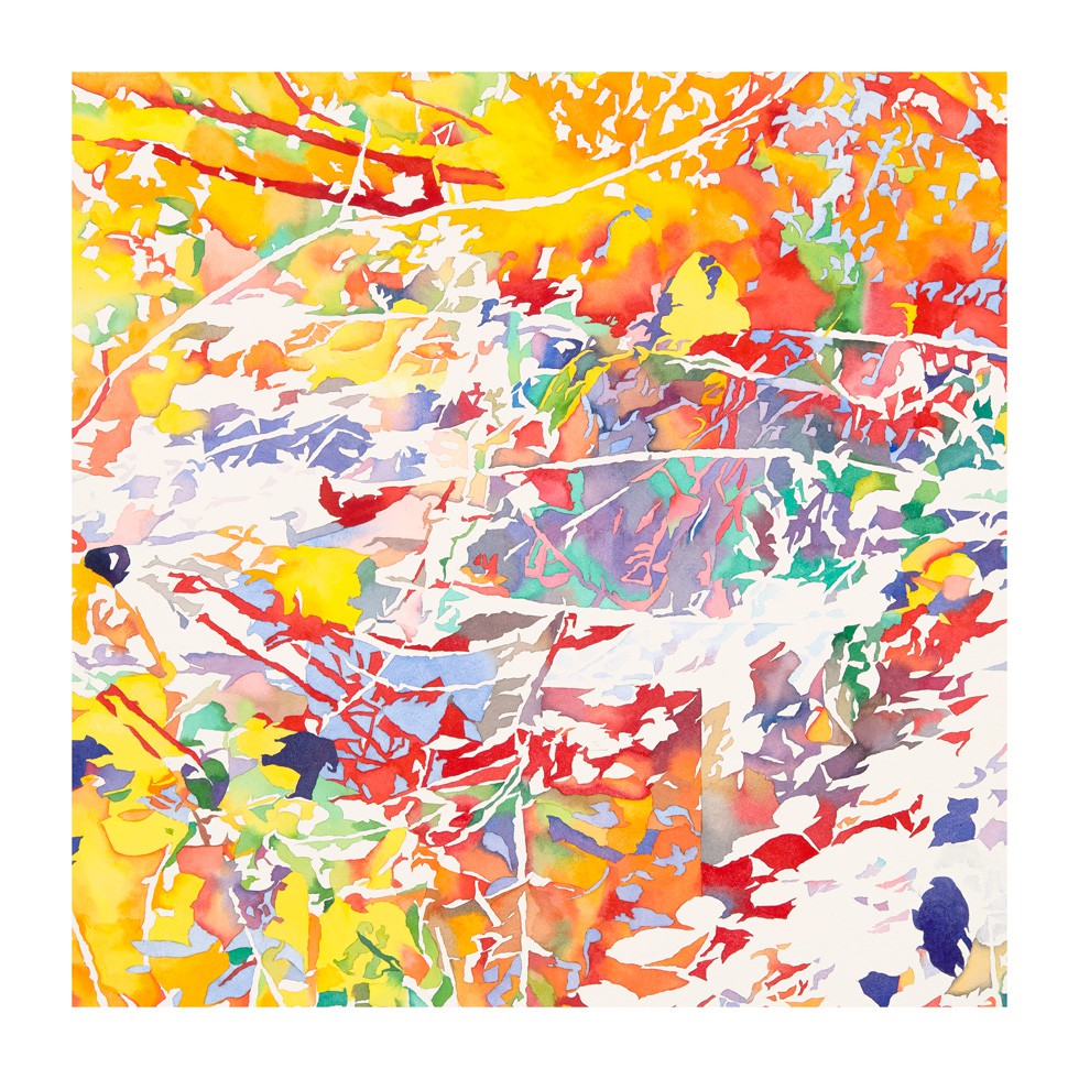 Jean-Paul Agosti, Jardin lettre d'ombre Jean-Paul Agosti, Jardin lettre d'ombre