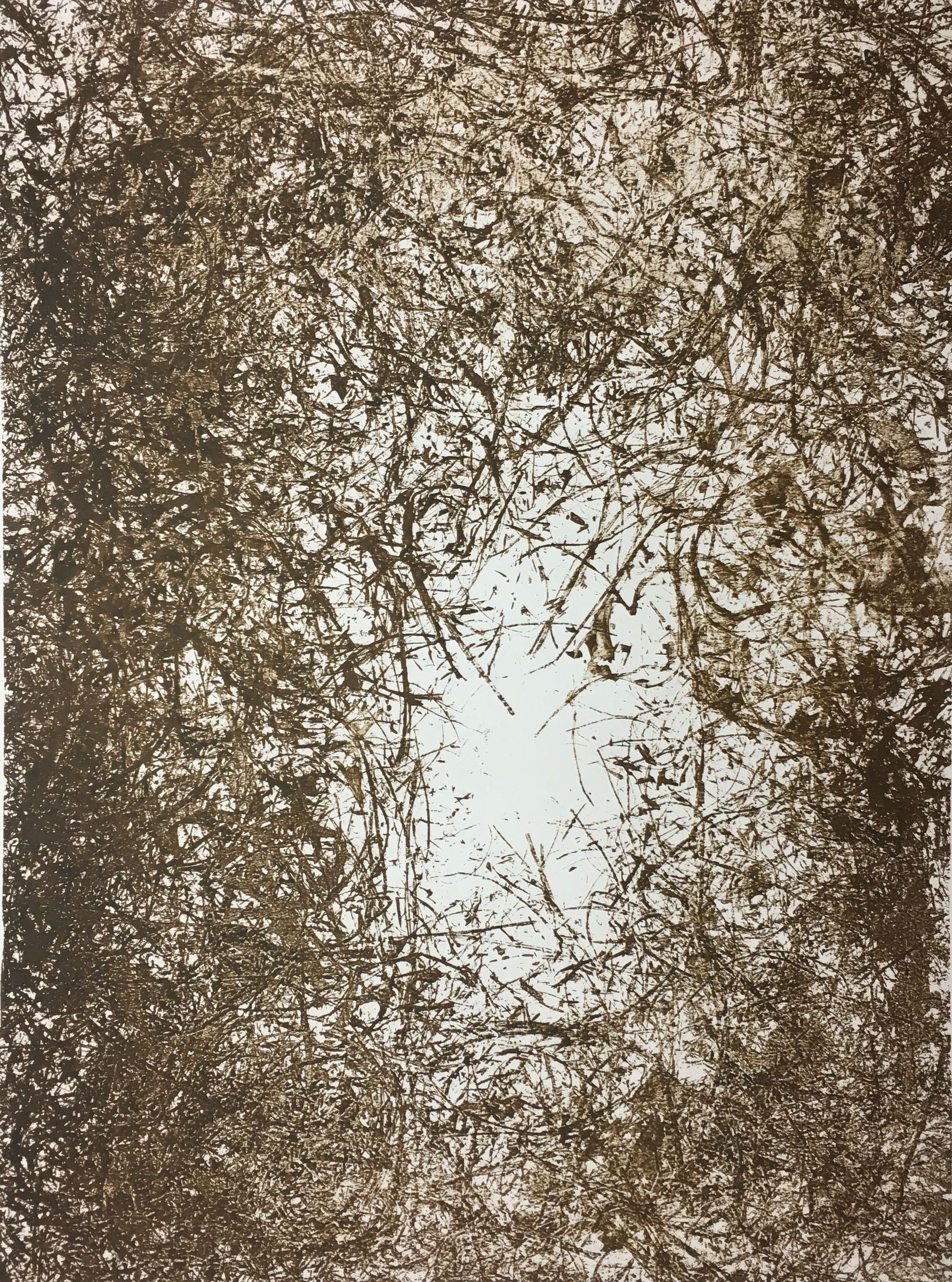 Adolf Frohner, 1963 Adolf Frohner, 1963