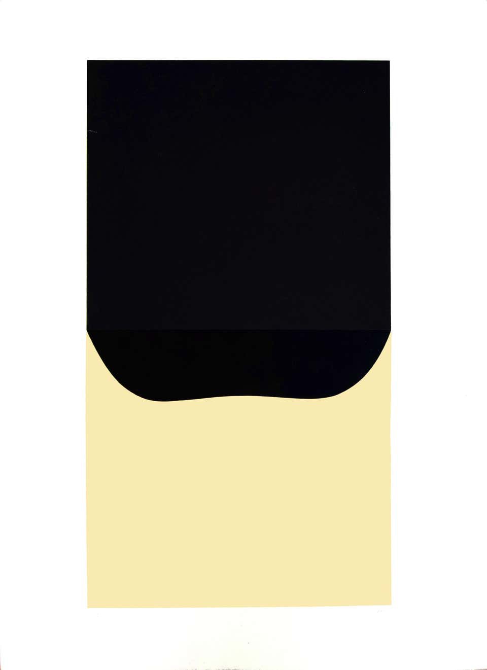 Alberto Burri, Bianchi e Neri II (Acetates) - Plate D Alberto Burri, Bianchi e Neri II (Acetates) - Plate D