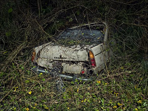 Peter Lippmann