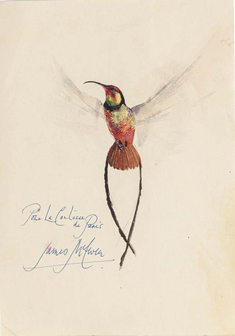 James McEwen, Bird James McEwen, Bird