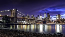 Brooklyn Bridge, Phil Carrière