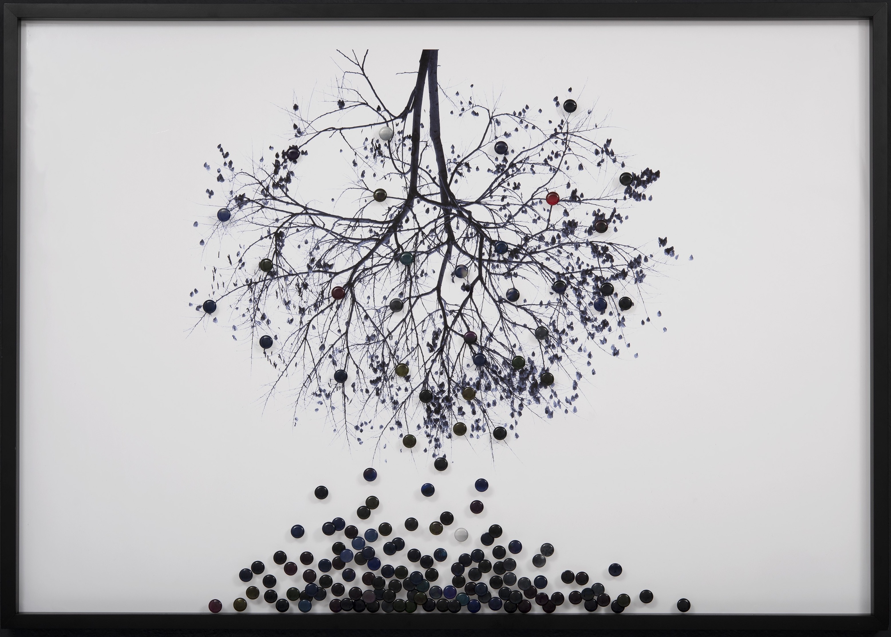 Yumi Watanabe, Fallen Away Series- Fallen Tree Yumi Watanabe, Fallen Away Series- Fallen Tree