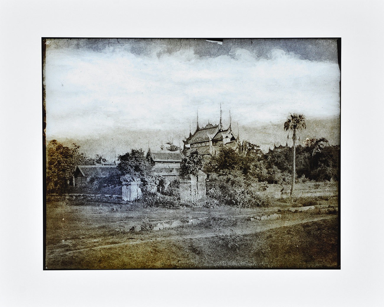 Thomas Ruff, Tripe 09 Thomas Ruff, Tripe 09