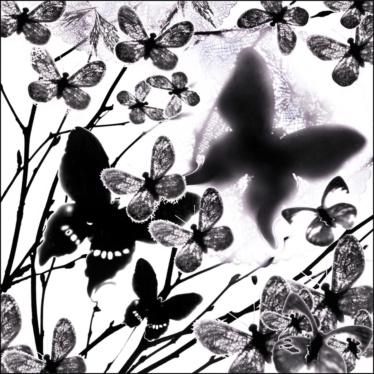 Marie-Fa Lazzari, Fly away Marie-Fa Lazzari, Fly away